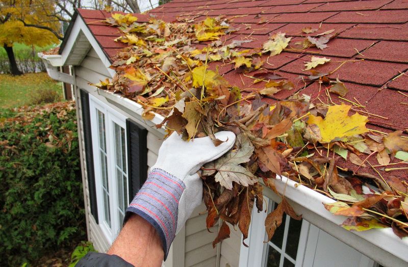 Winter Gutter Inspection